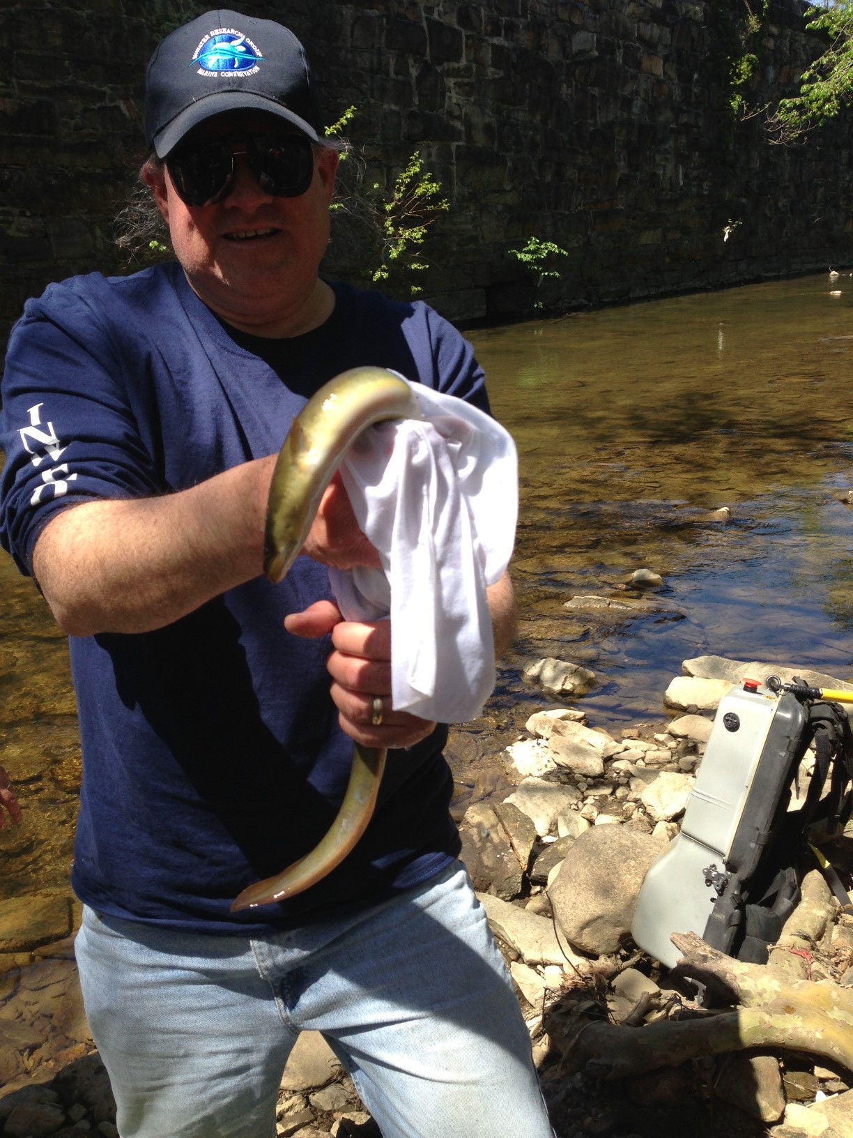 Jones Falls with eel