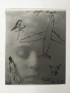 Black line drawings over a blurry image of a face include: an airplane, a foxlike animal, and a human figure.