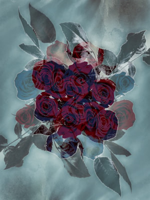 An overlay of roses in different directions