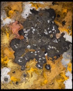 Untitled by Richard Hanus