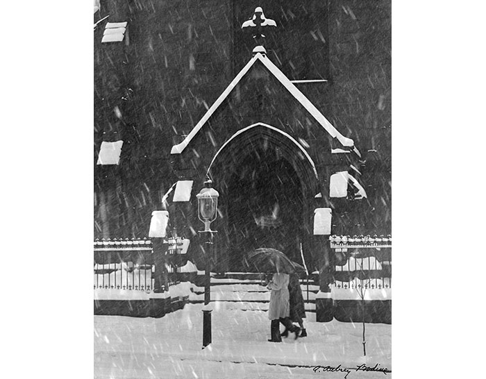 Walk in the Snow (1952)