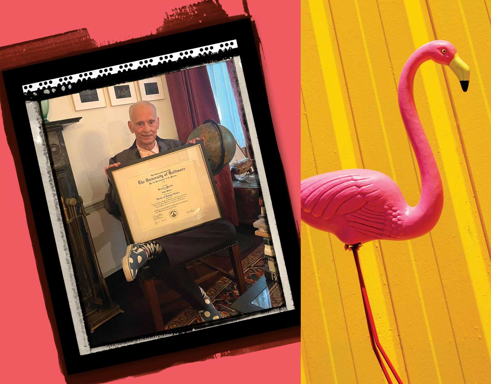 composite with a polaroid of John Waters and a Pink Flamingo